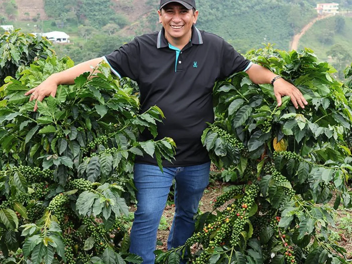Huila, Finca Monteblanco whole bean coffee